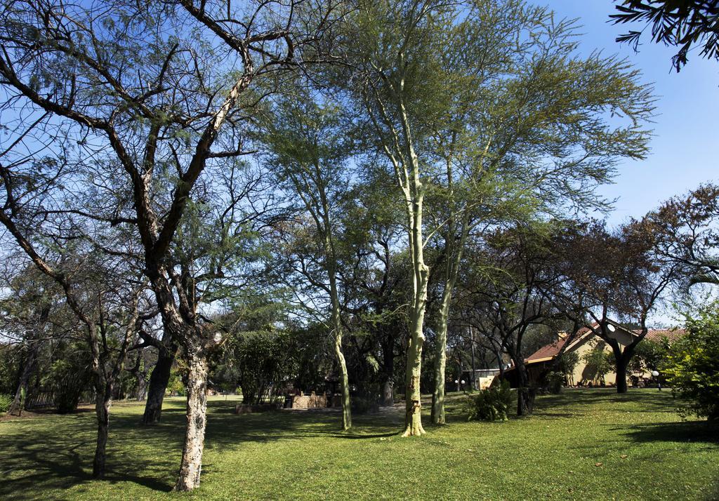 Sunbird Lodge Phalaborwa Eksteriør bilde