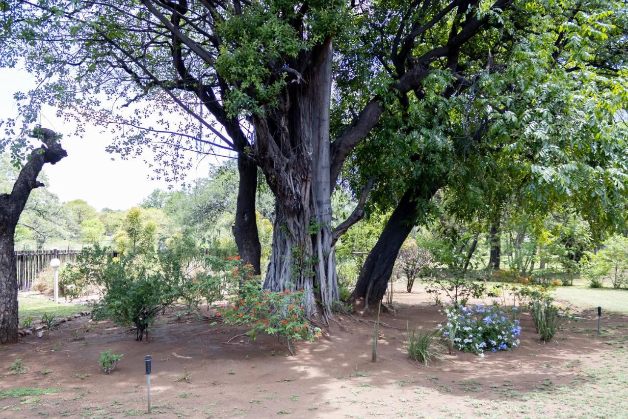 Sunbird Lodge Phalaborwa Eksteriør bilde