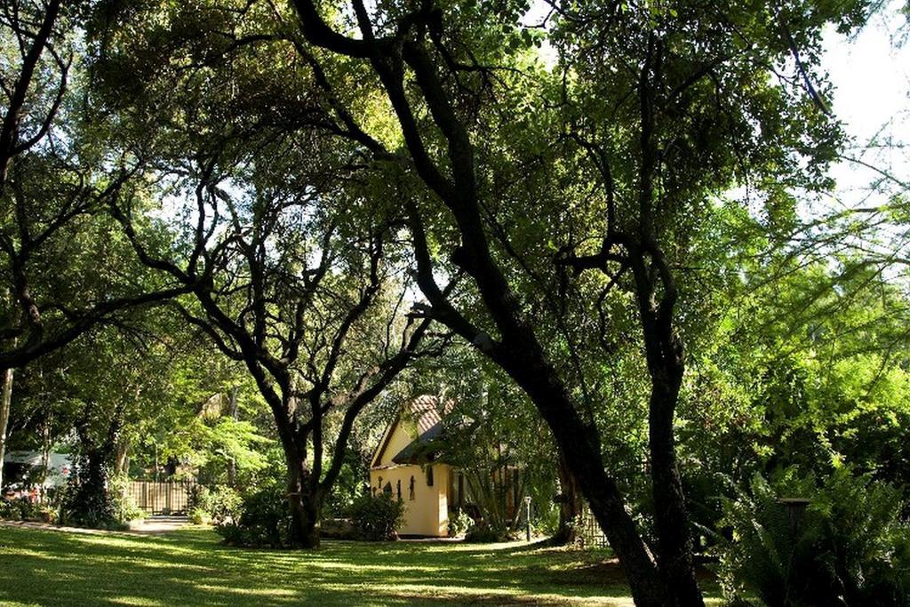Sunbird Lodge Phalaborwa Eksteriør bilde