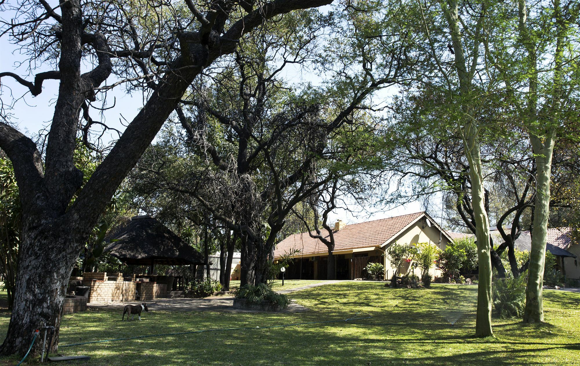 Sunbird Lodge Phalaborwa Eksteriør bilde
